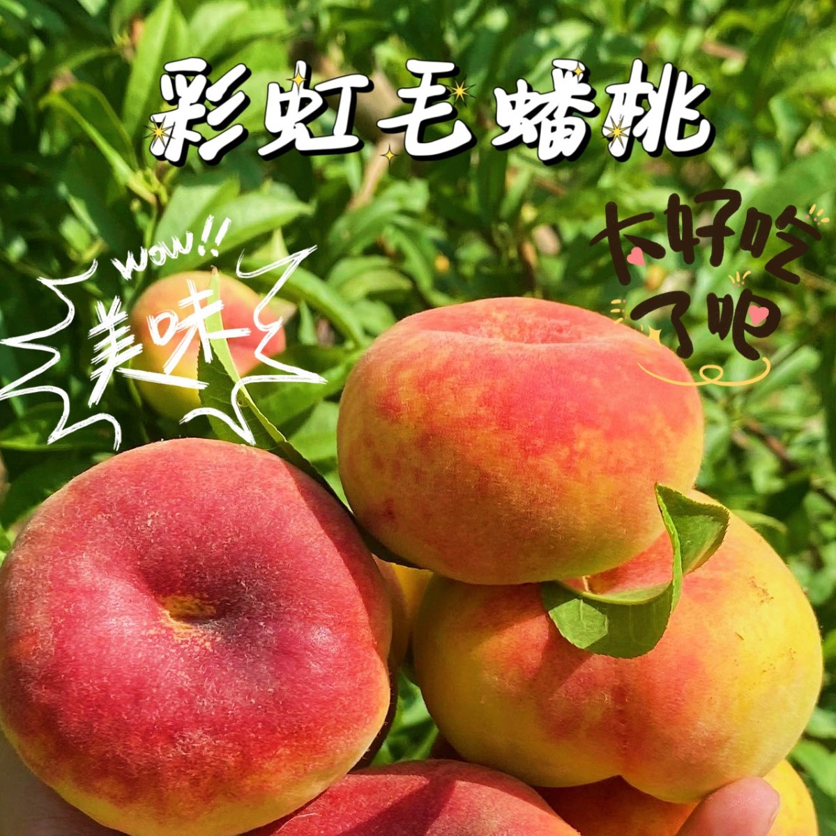 陕西彩虹毛蟠桃新鲜现摘当季水果香甜多汁