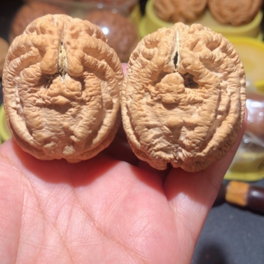 文玩核桃把件乾坤鬼脸核桃