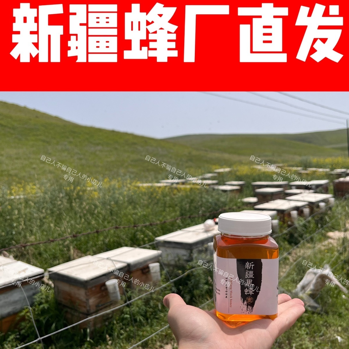 蜂蜜 新疆黑蜜天山黑蜂土花蜜产地蜂蜜蜂农直发成熟封盖蜜