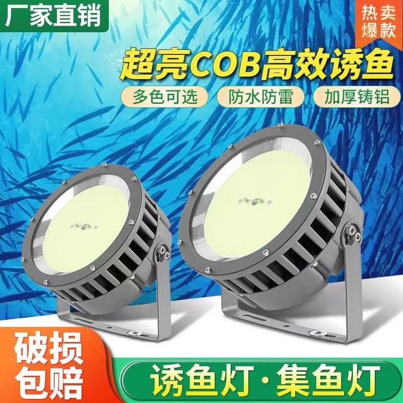 户外防水船用大功率加厚压轴铝诱鱼集鱼专业海钓鱿鱼灯扑鱼灯220v