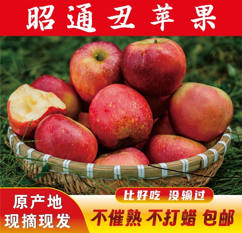 云南昭通丑苹果2025生鲜有机红富士2001新果现摘孕妇水果脆甜多汁