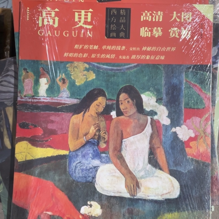 高更正版塑封书籍