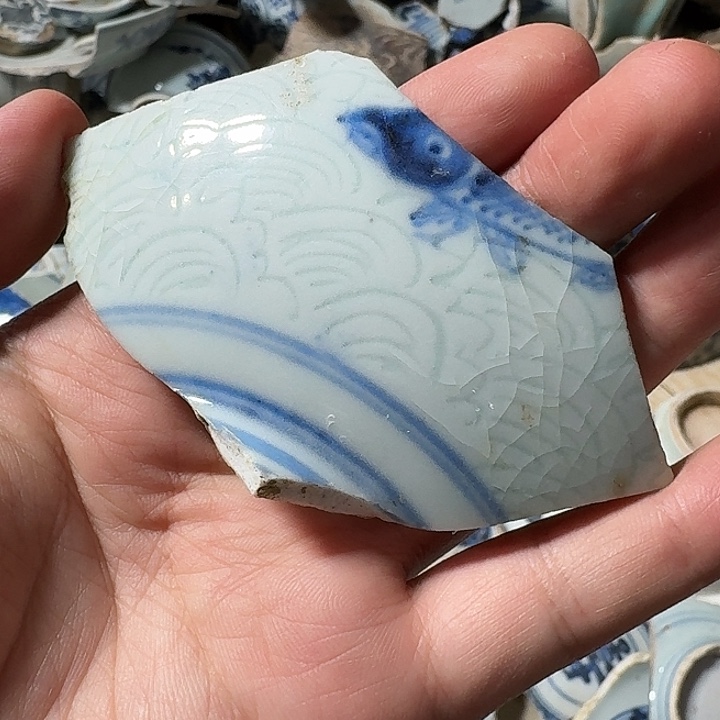 奥***l瓷片瓷片标本，顺丰包邮