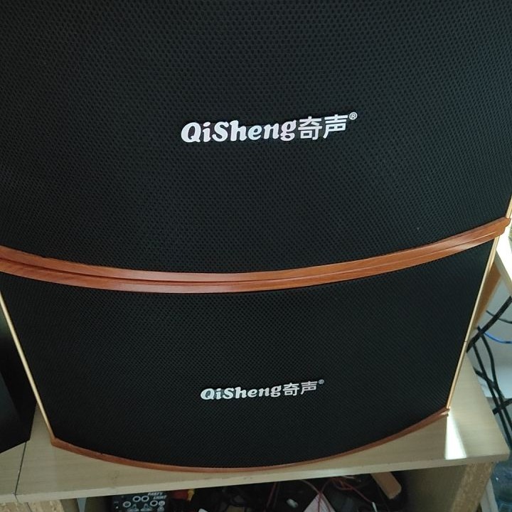 99新  不包邮   95新奇声10寸卡包音箱   不支持无理由退货