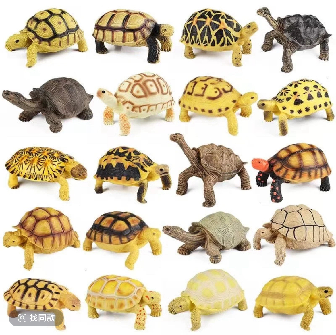 活体拍单直播链接