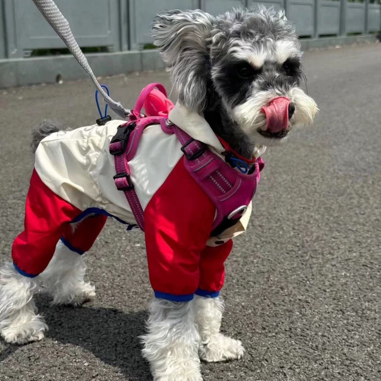 宠物潮牌冲锋衣泰迪比熊雪纳瑞法斗狗狗猫咪秋冬保暖衣服