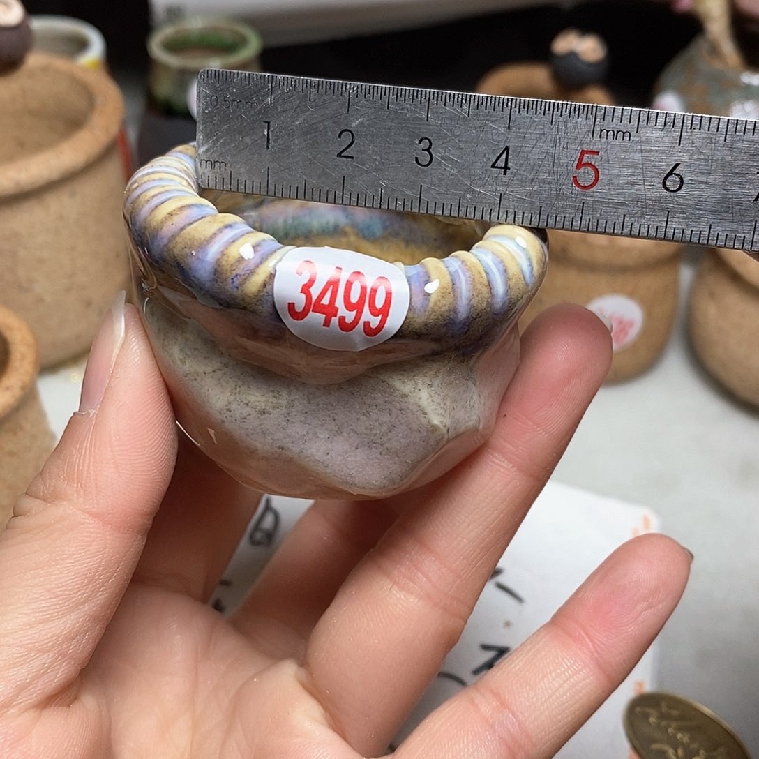 红陶处理的，处理