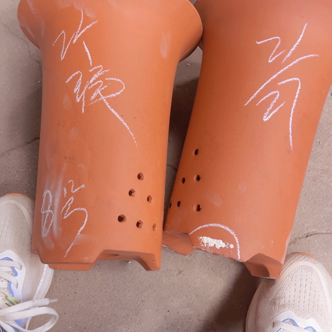 8号…………………………………………