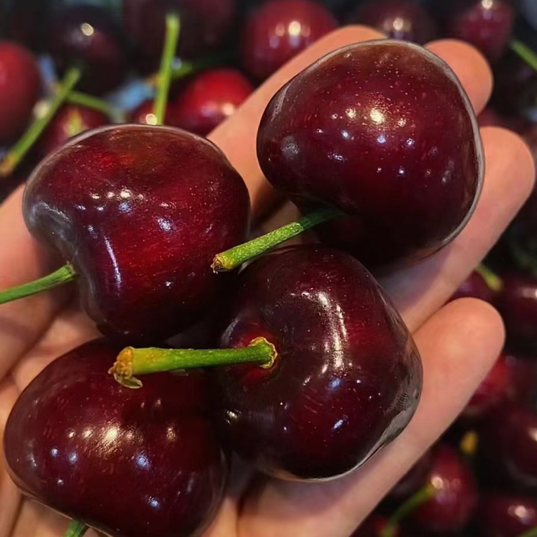 车厘子海运智利吉制3J1000g（内无附果径卡）智利