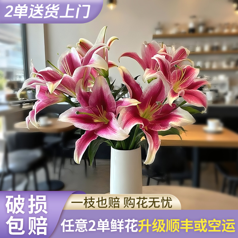 【源头优选】红福香水百合花水养插花用云南直发鲜花