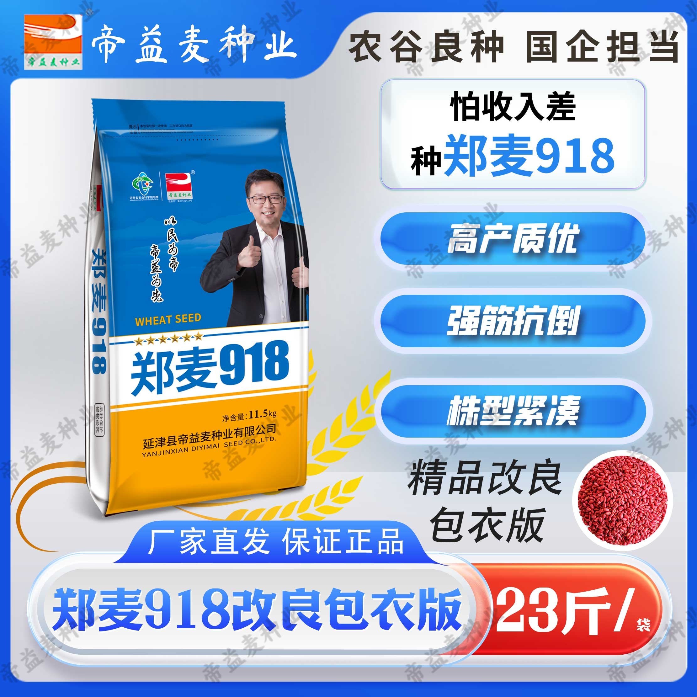 帝益麦种业国审郑麦918强筋23斤小麦种高产抗倒干热风优大穗早熟