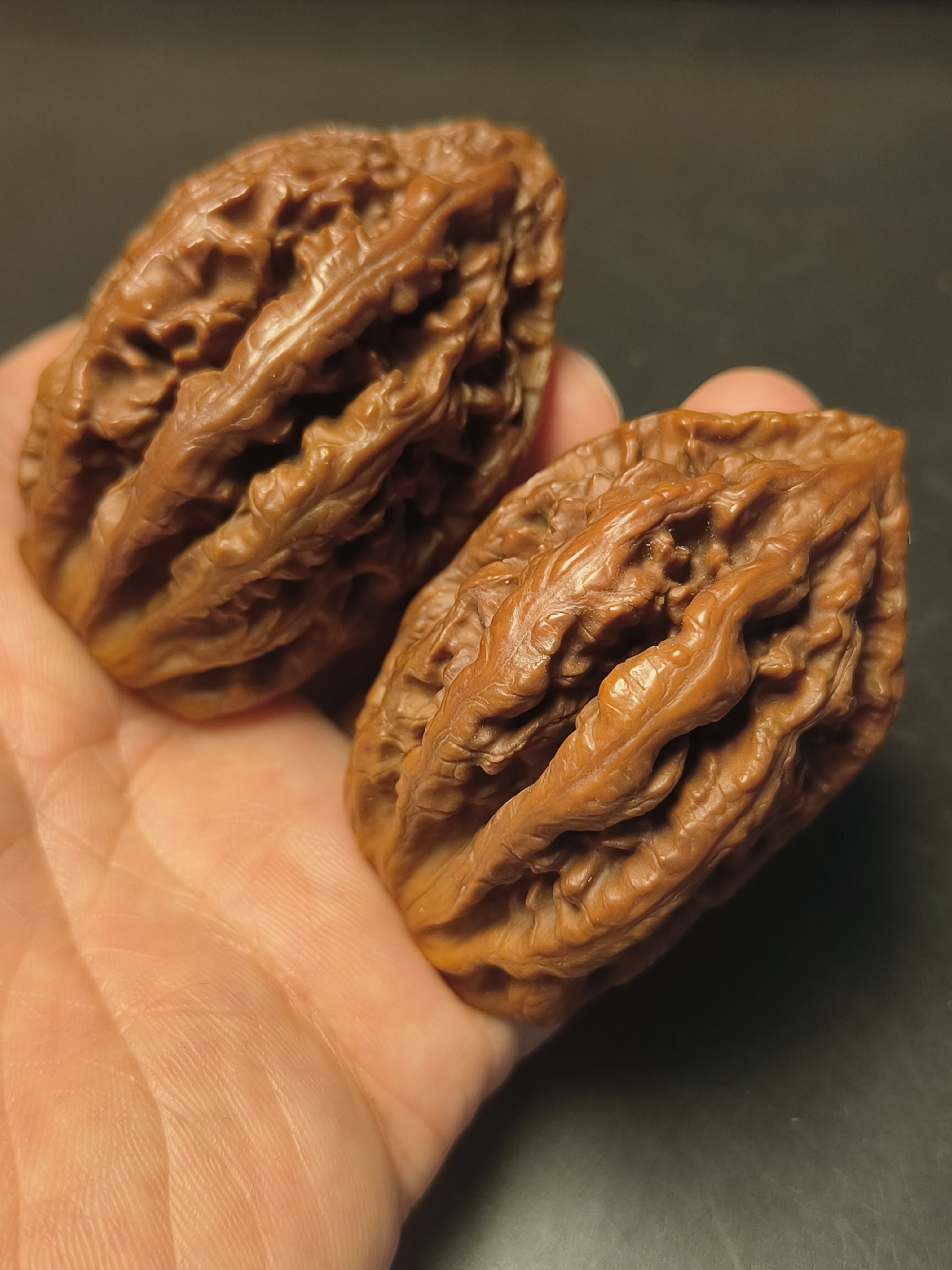 东北野生秋子核桃 十年老龙爪 尺寸42+