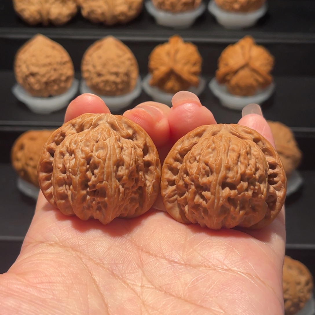 全品，精品，39白狮子180