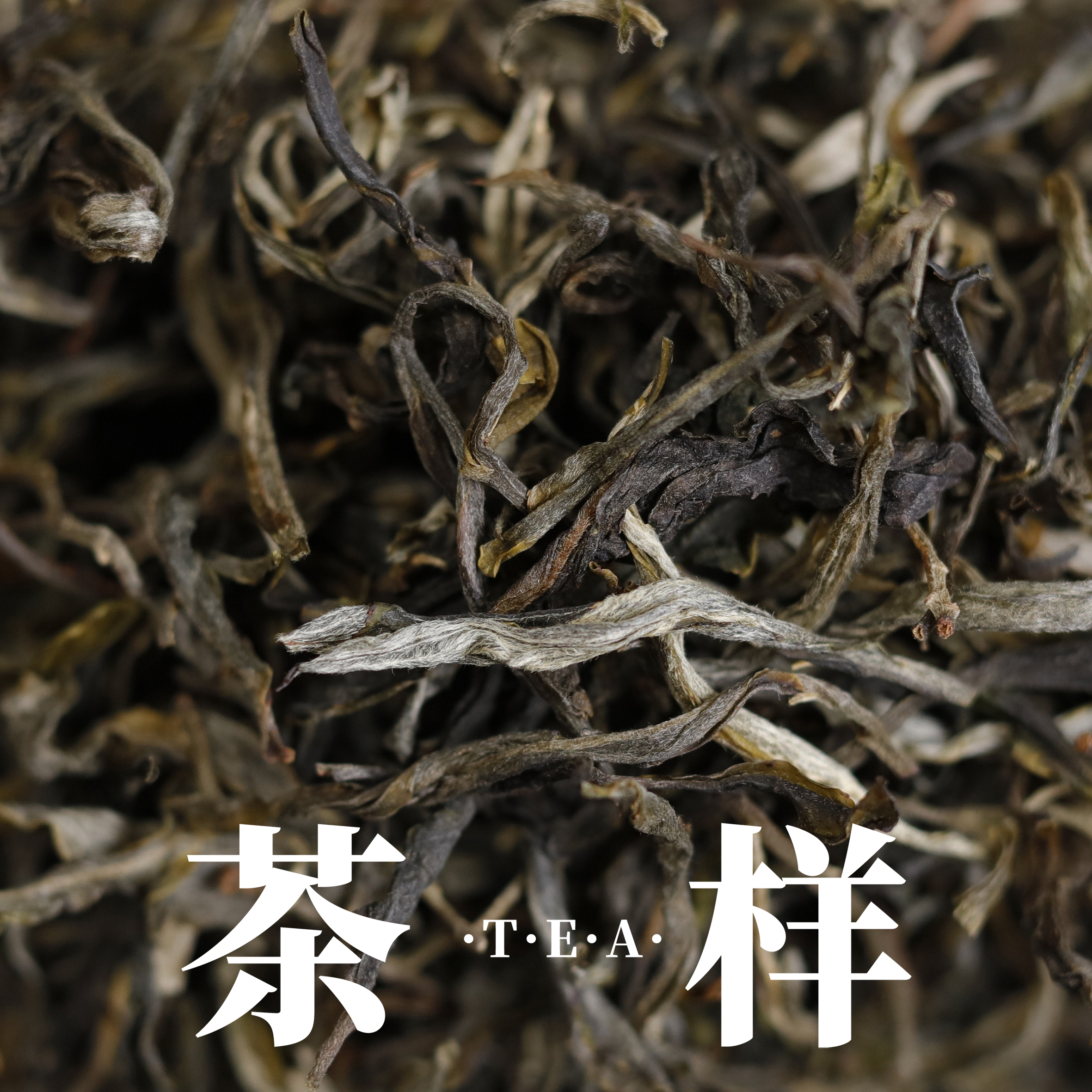 朱老师直播间   茶样礼包链接   