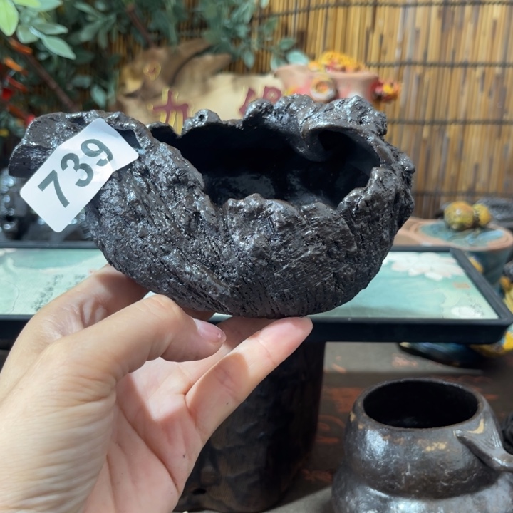 木村柴烧保平信弘