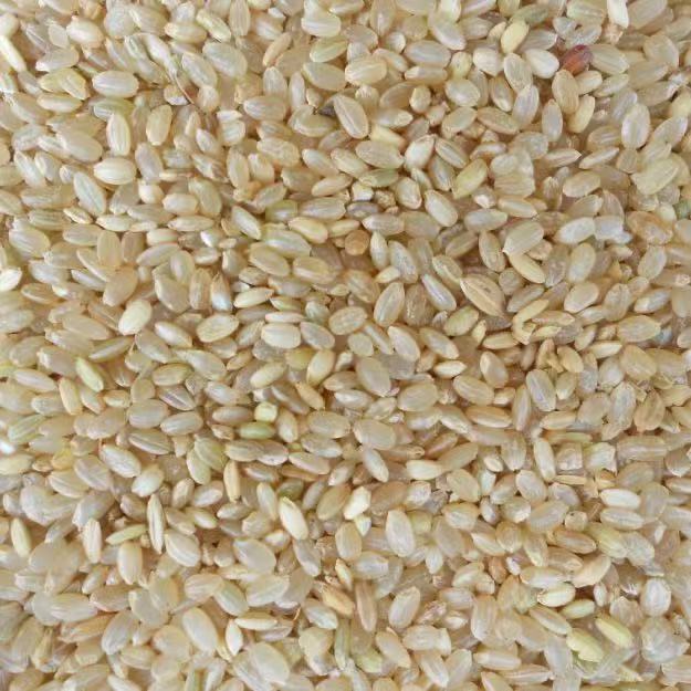 糙米（称重）约500g *1份/份