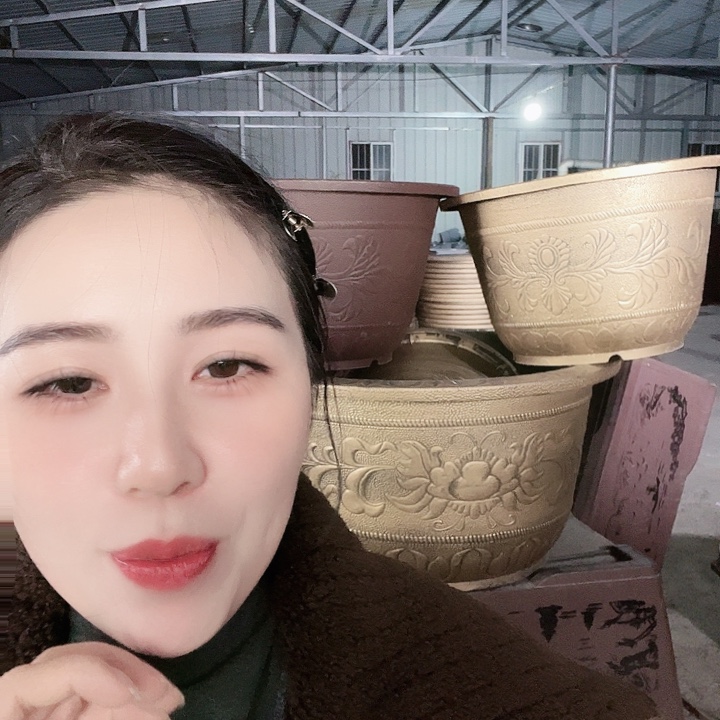 圆60口径花盆两个