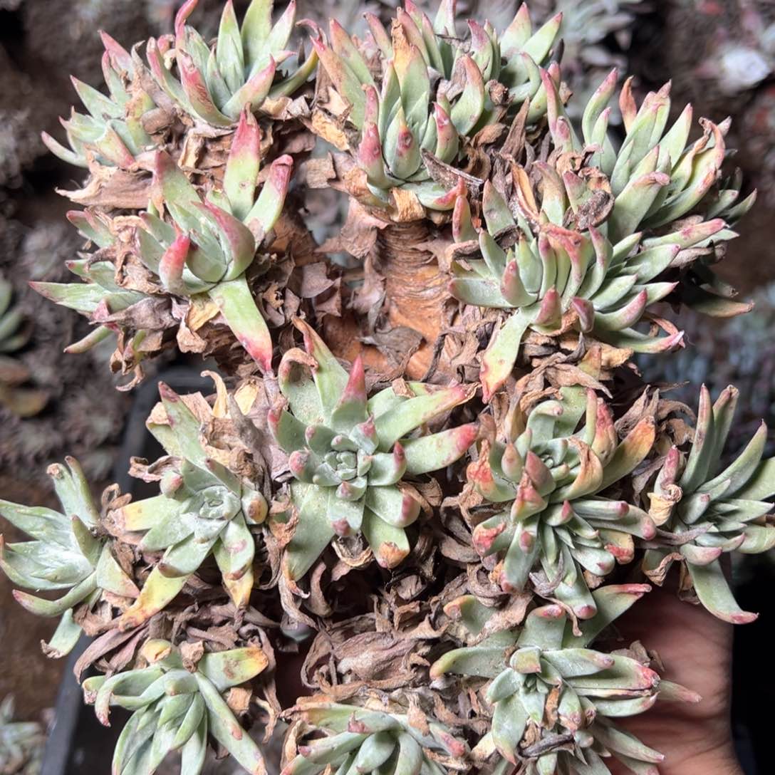 5978哈哈哈哈哈哈哈哈