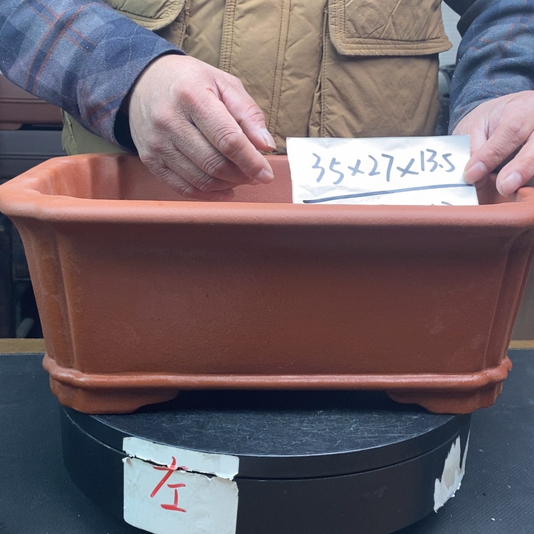 紫砂货号一只CFJ113