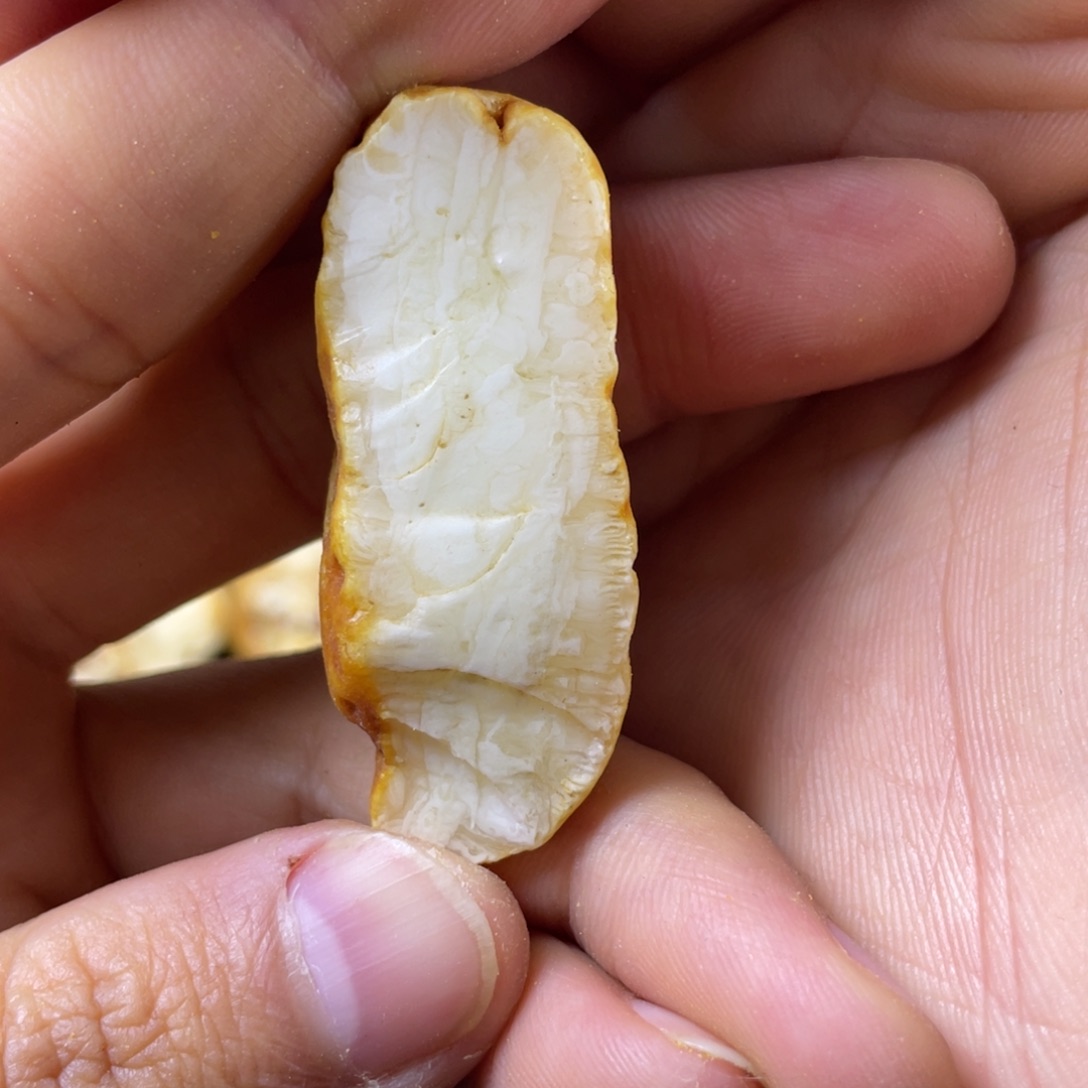 定制琥珀未镶嵌定制