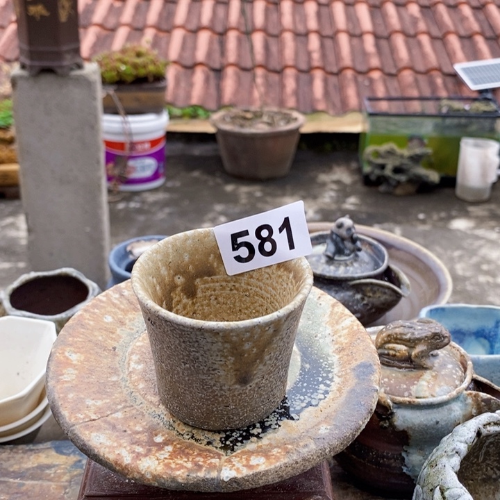 茶盏啦啦啦啦啦啦啦啦581