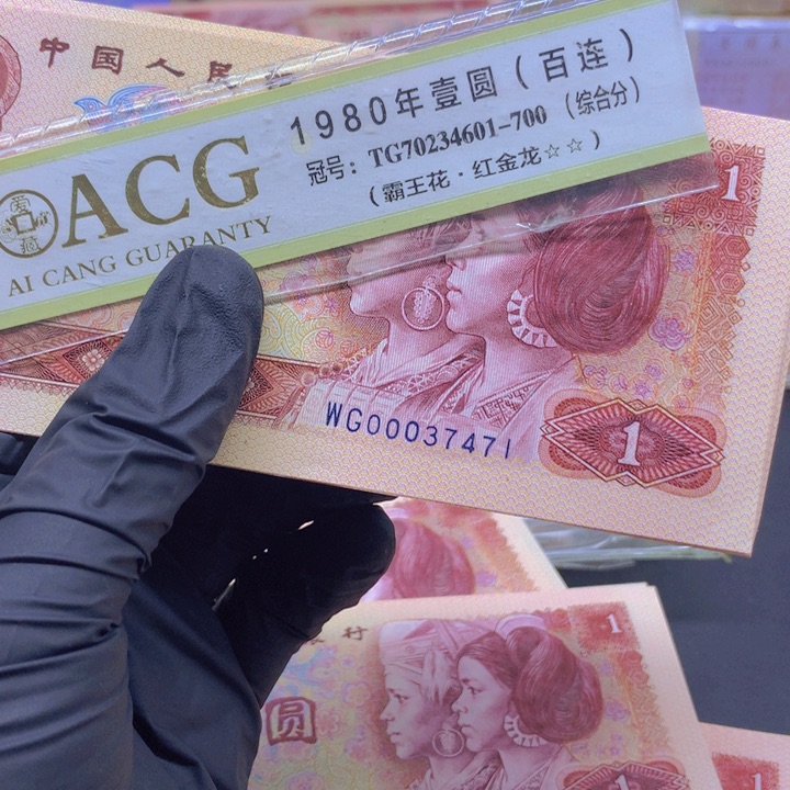 【闪购商品】WG00037471标十标十一组