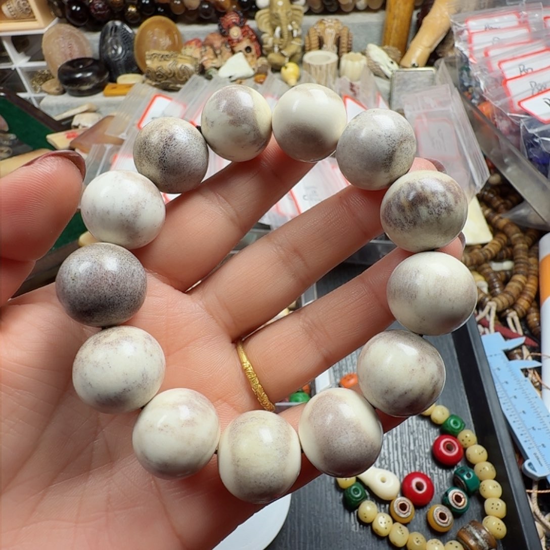 鹿骨其他000000000219