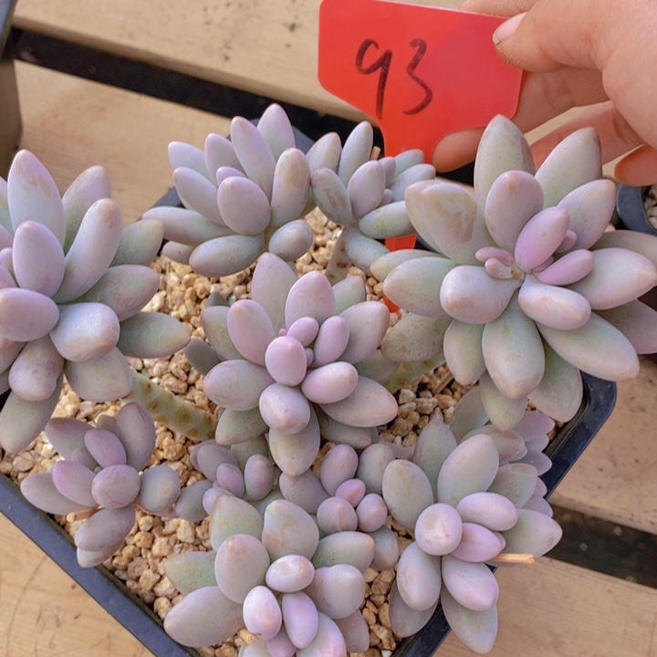 这么久不回来也没什么