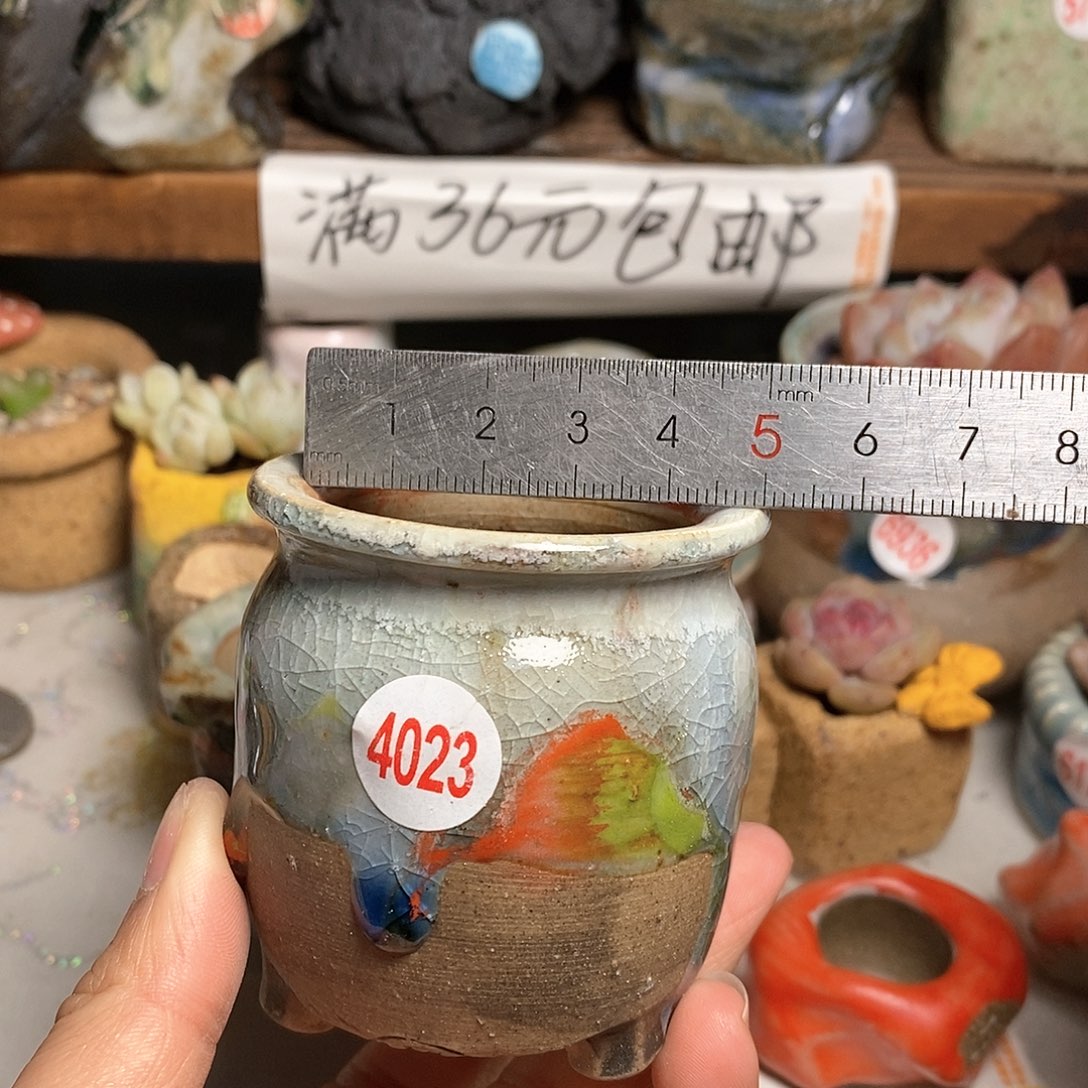 红陶拍5送一个小