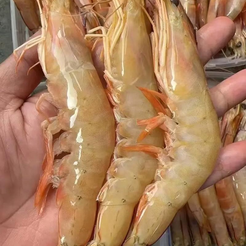 大连当地海捕残虾 扒虾仁 三斤顺丰包邮