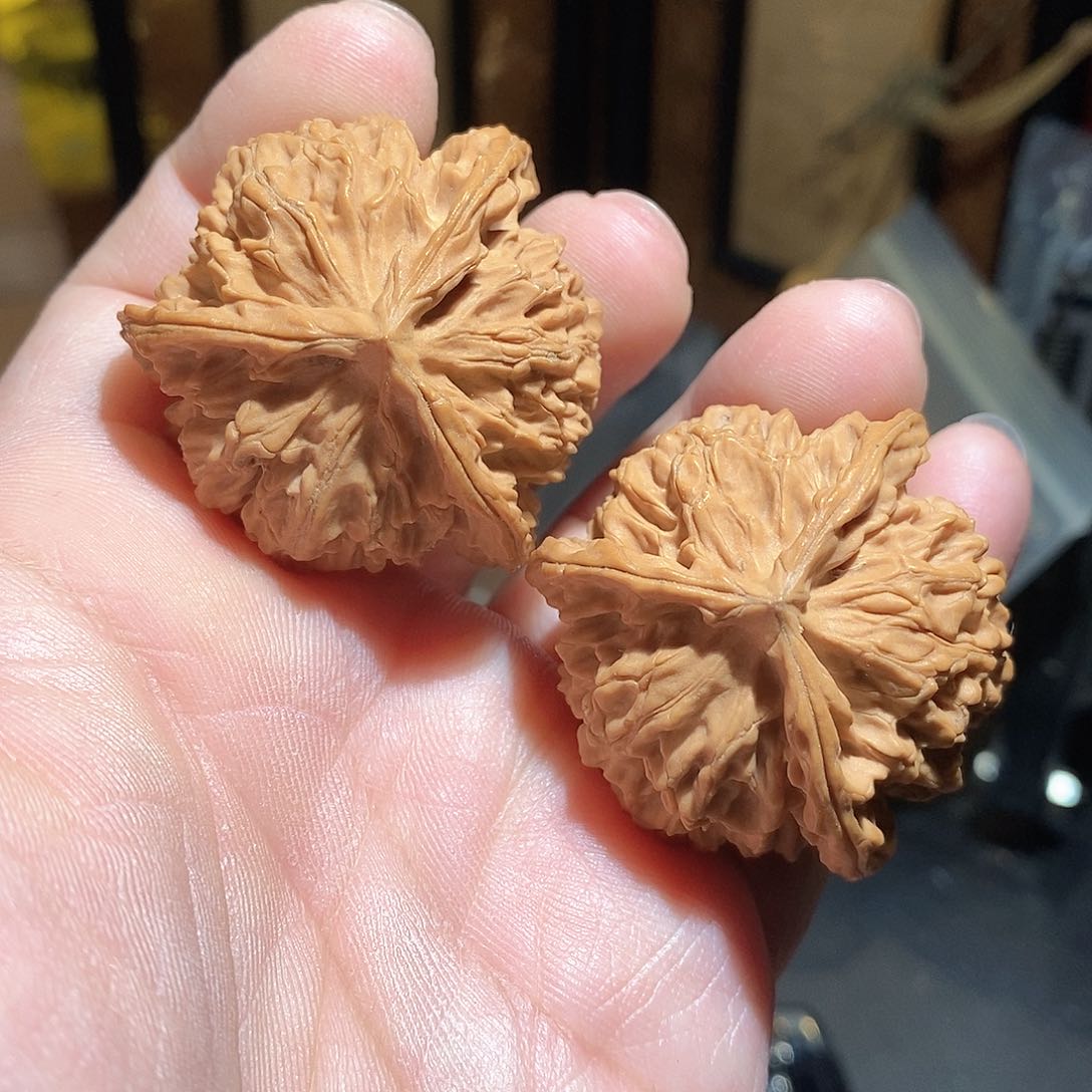 文玩核桃把件42盘龙纹三棱全品