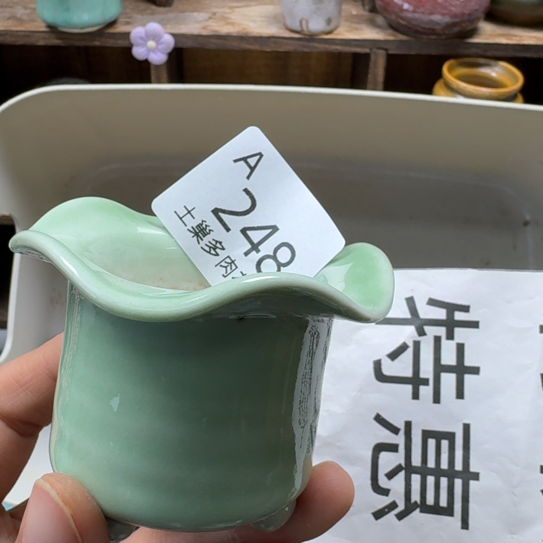 M***o陶瓷艺术品设计与制作