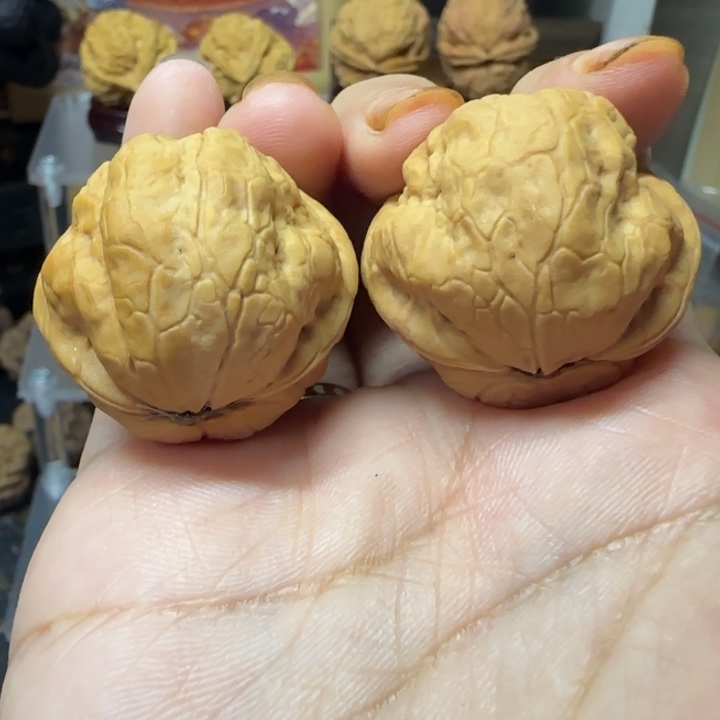 吊坠文玩核桃铁鹦鹉31