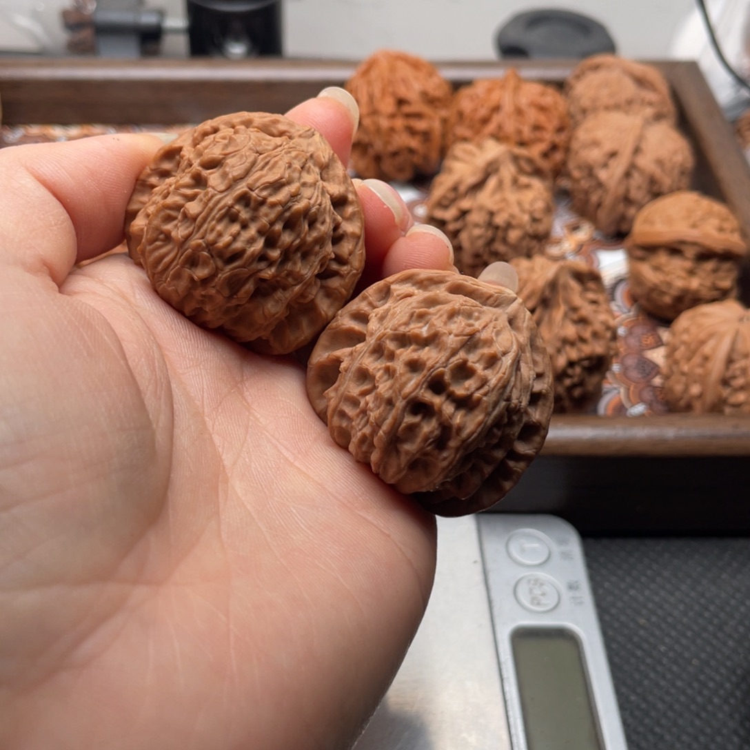 鱼***鹿核桃手串/手链白狮子38尺全品