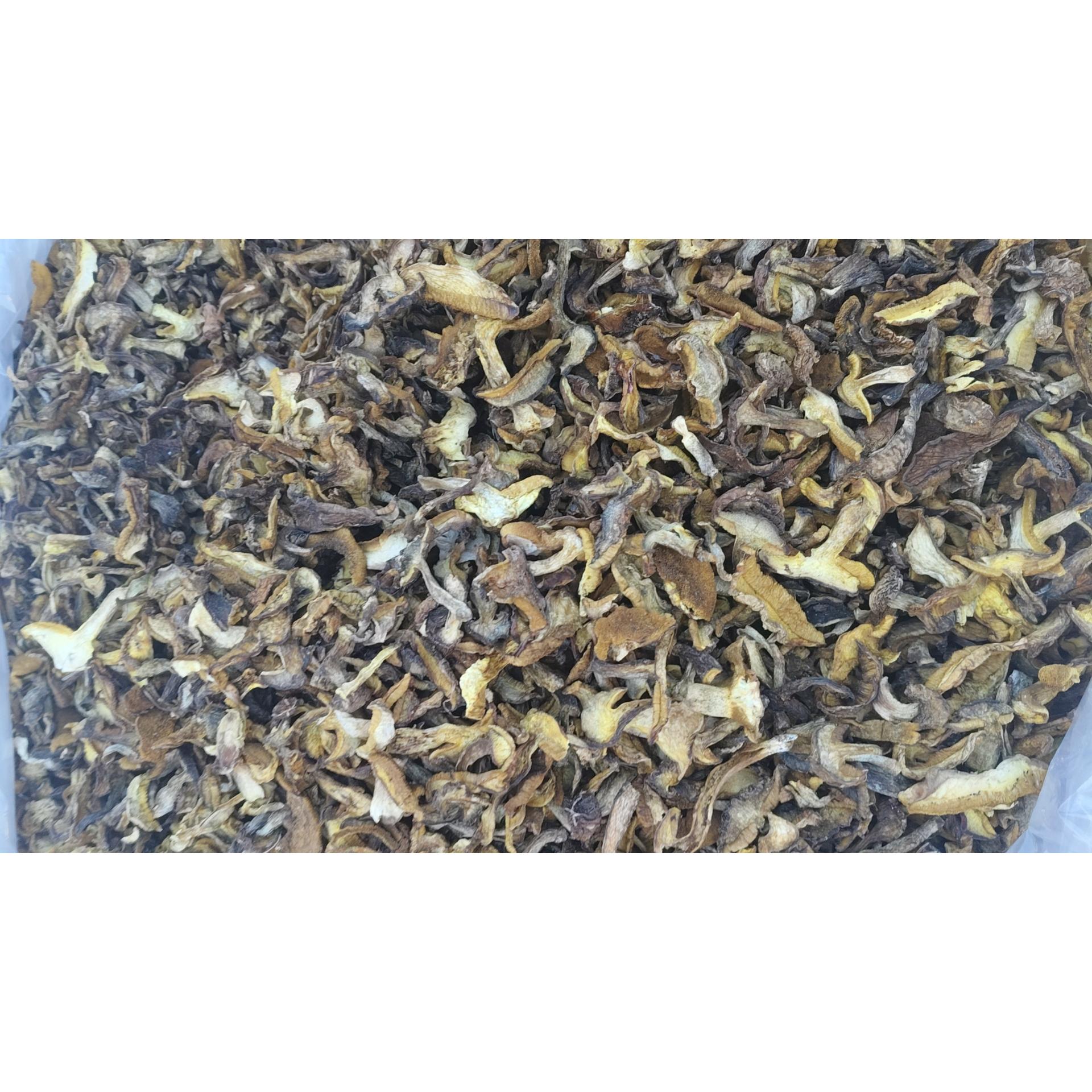 野生黄蘑黄面团蘑菇