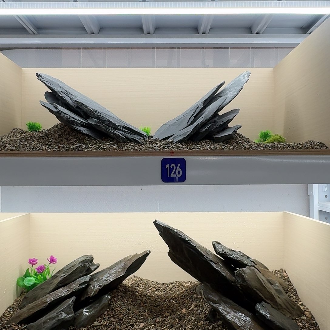 127号造景不要底沙，送小碎石