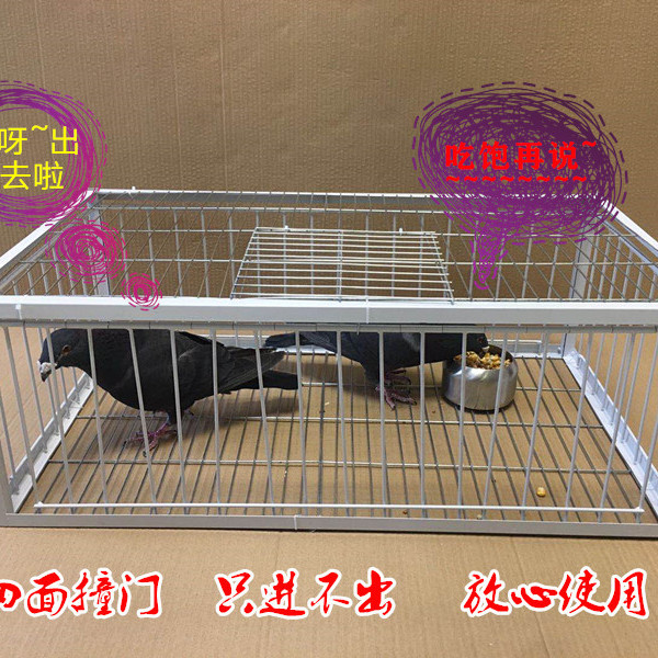 L鸽子撞门鸽子活络门笼撞门鸽笼铁笼只进不出跳笼天落笼撞门自动