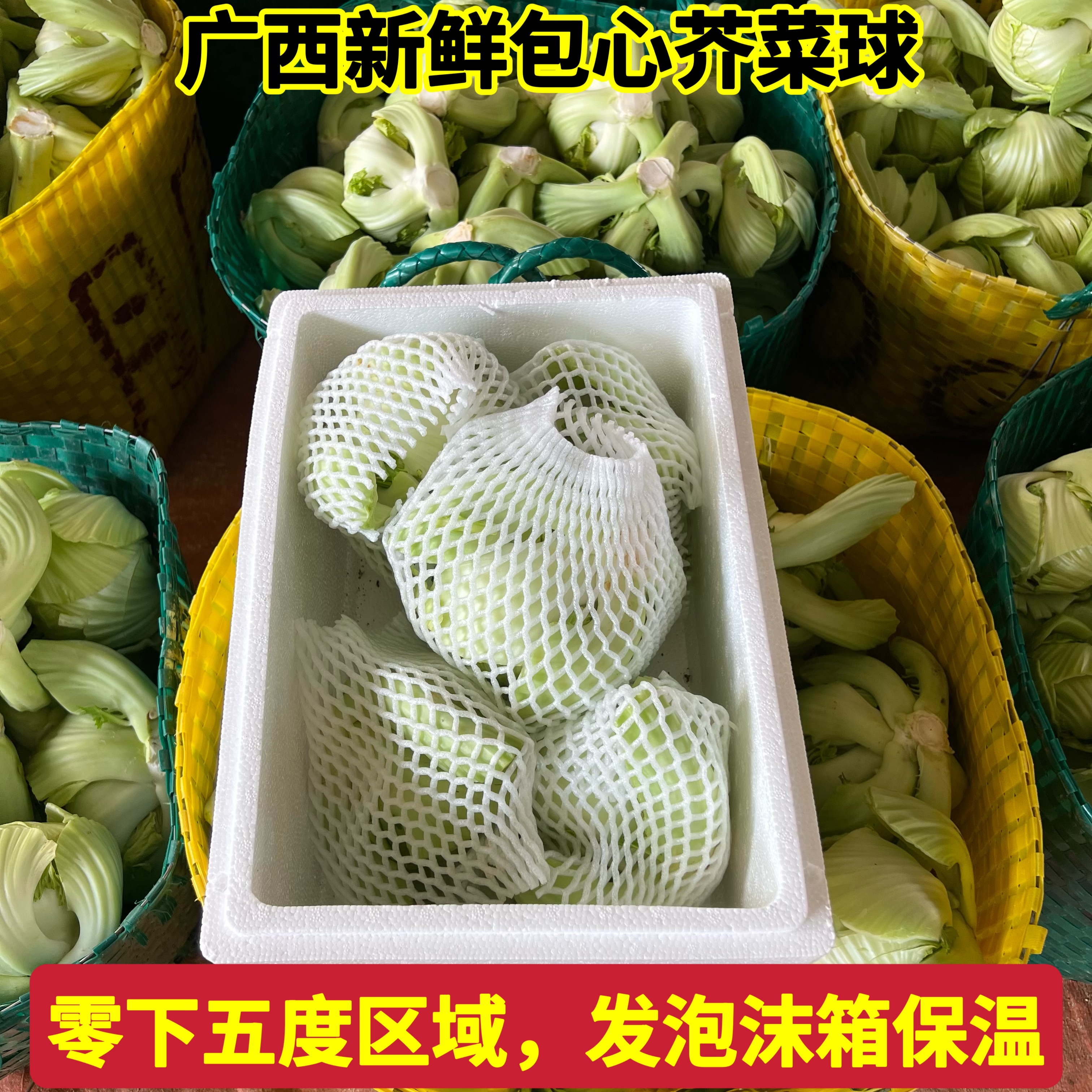 【泡沫箱保温】新鲜广西卷心芥菜球可做潮州咸菜酸菜梅干菜新鲜发货