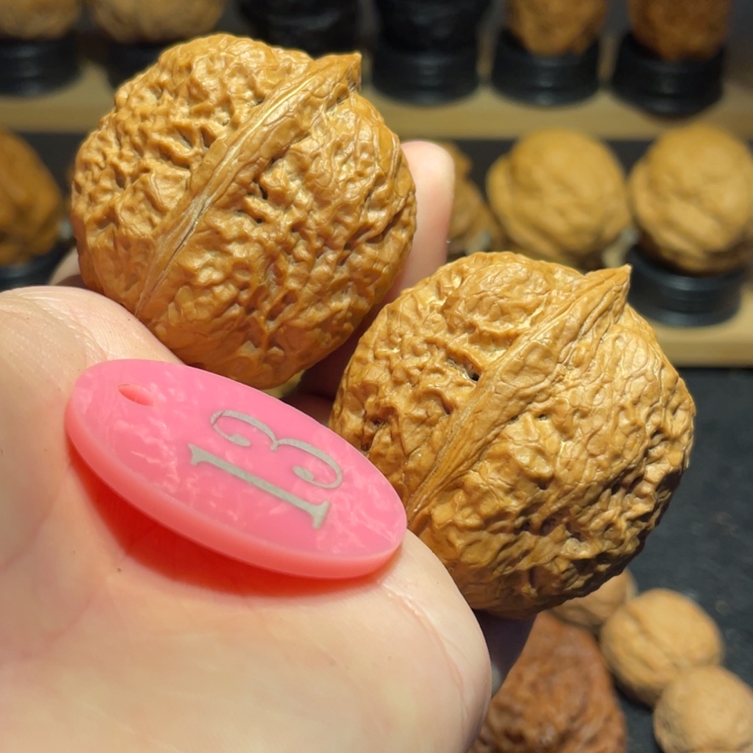 粗筋霸王龙核桃40