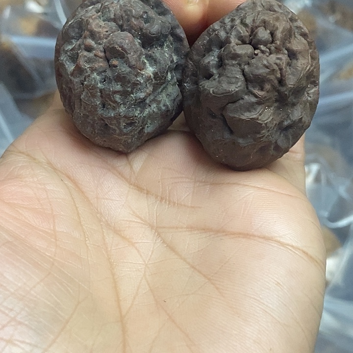 文玩核桃把件云南铁核桃基地9