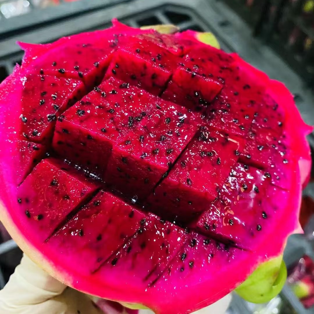 红心火龙果  2颗中大果