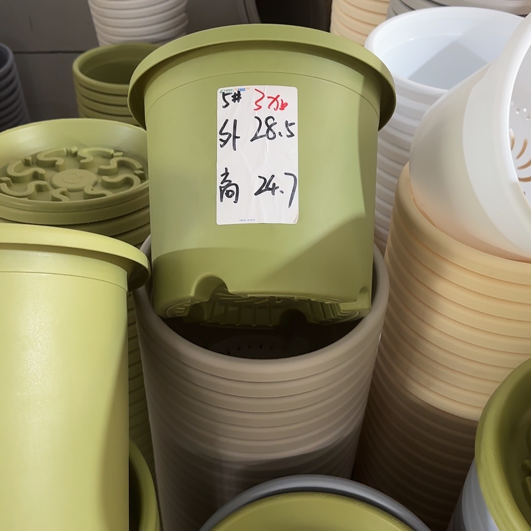 微瑕5号果绿4个，白色2个，带托