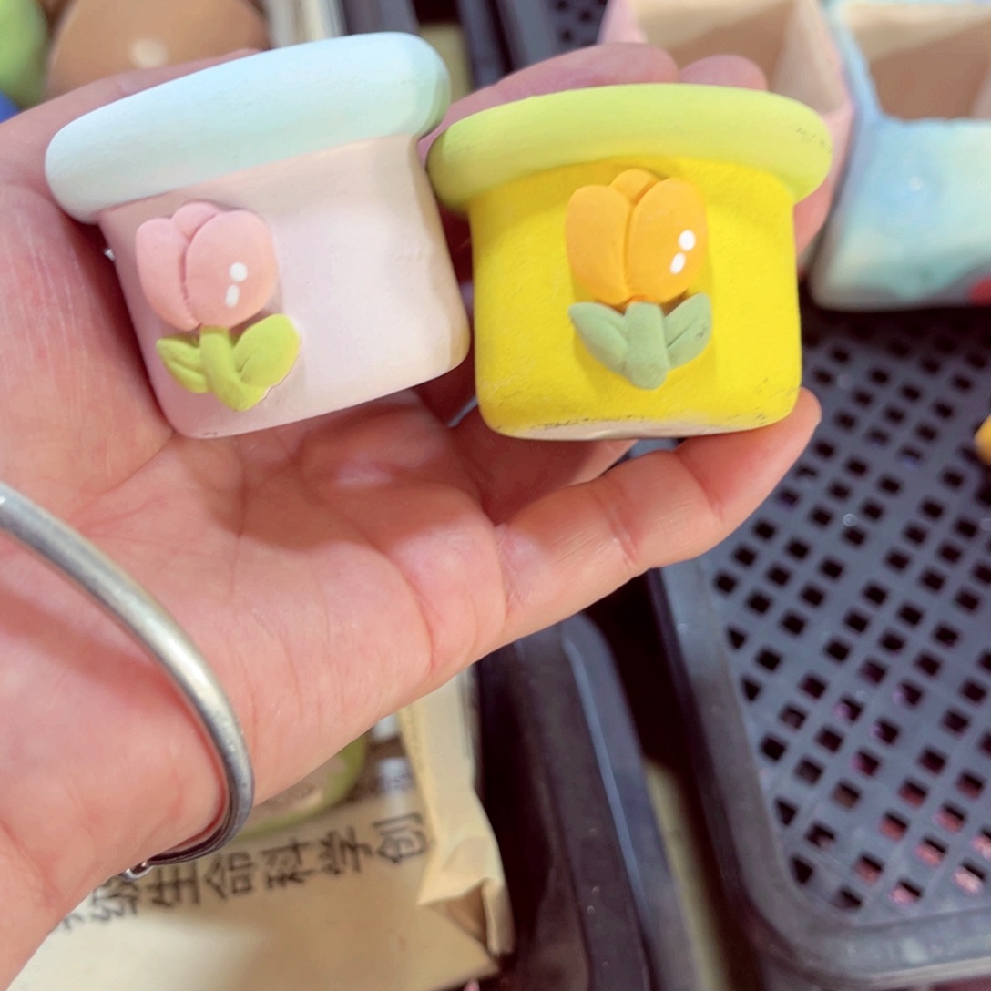 静***～340号带盆包邮发货