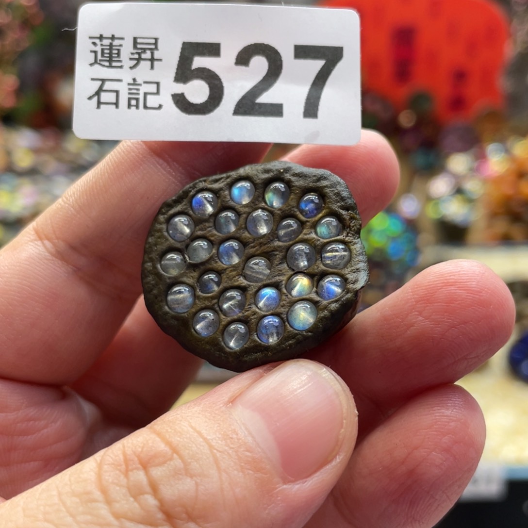 核桃木/黑胡桃（胡桃木）?****?527