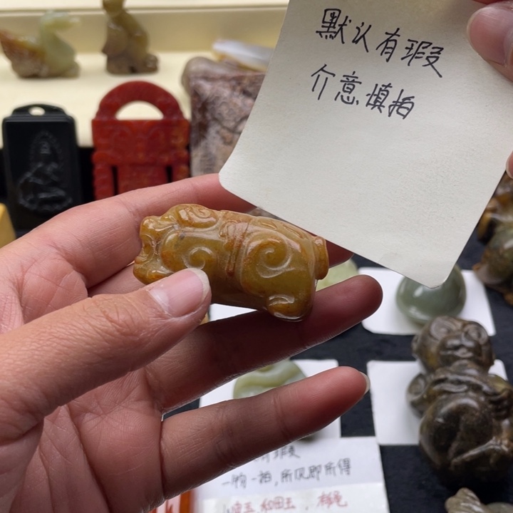 蛇纹石玉颈饰未镶嵌236