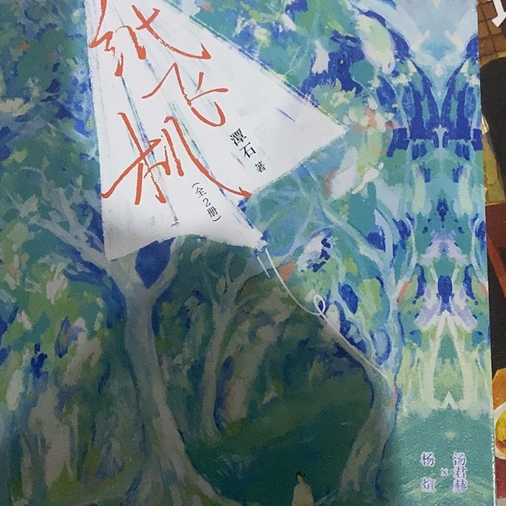 纸飞机 青春畅销文学