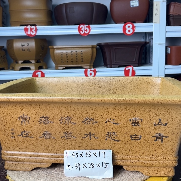 花盆紫砂你在一起