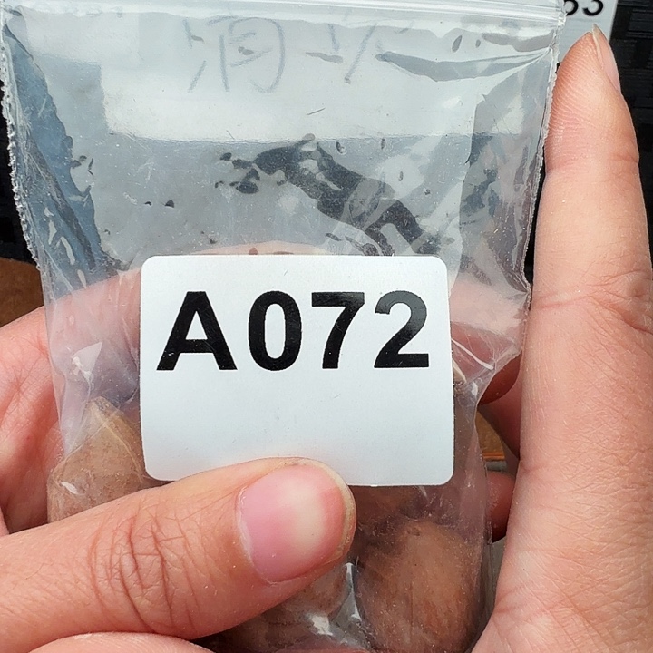 百****橄榄核手串/手链橄榄