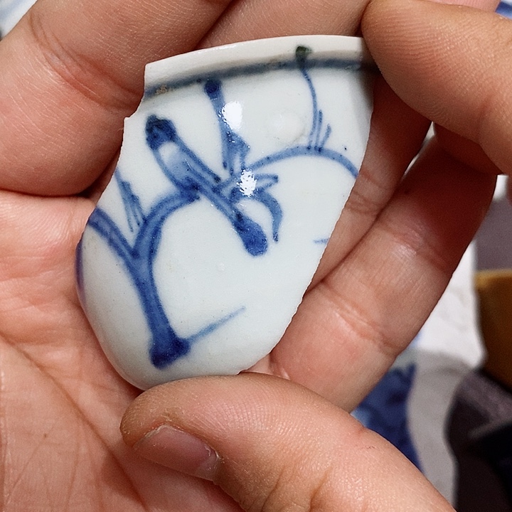 金铜精品瓷片标本学习