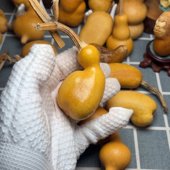 宗***1葫芦6666666666666